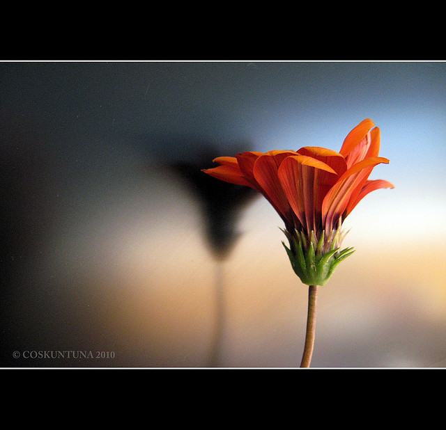 สีสันบนโลก