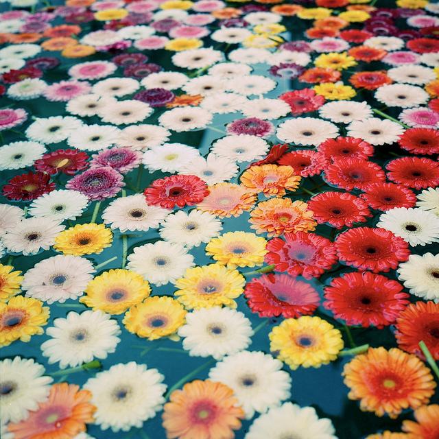 สีสันบนโลก