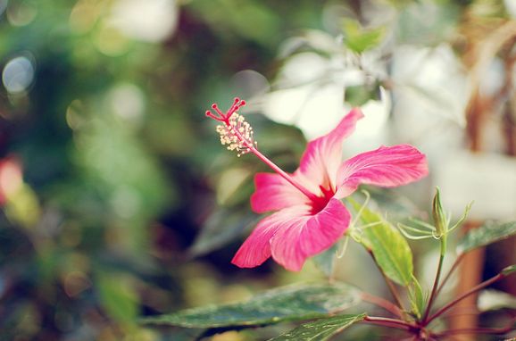 สีสันบนโลก