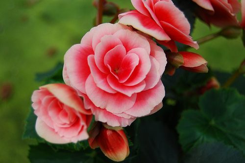 สีสันบนโลก