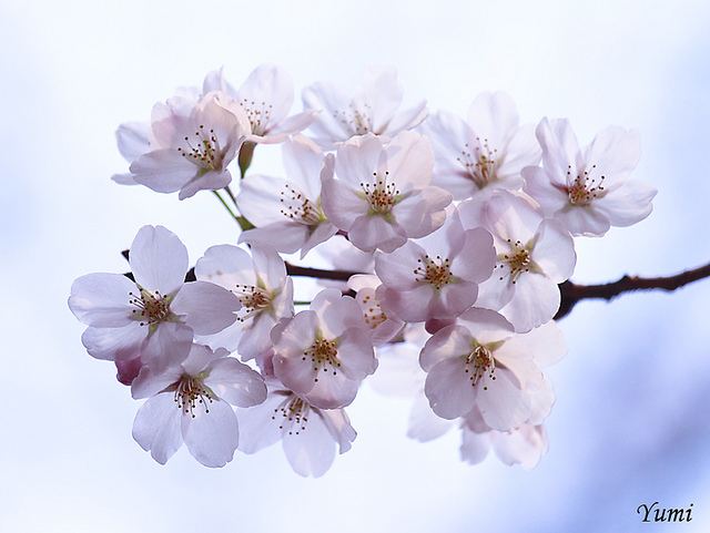 สีสันบนโลก