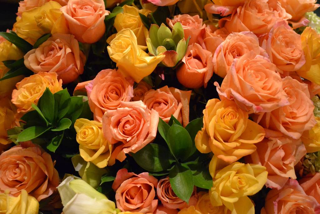 สีสันบนโลก