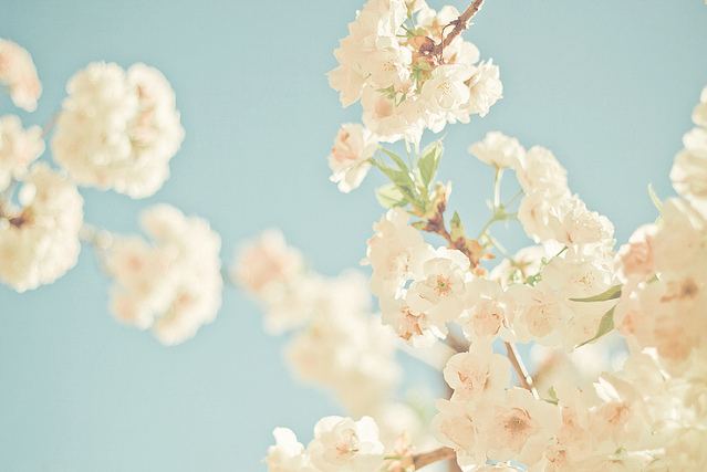 สีสันบนโลก