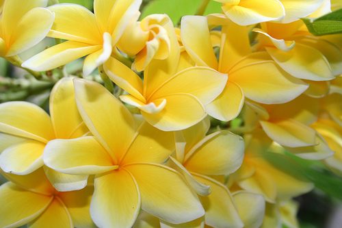 สีสันบนโลก