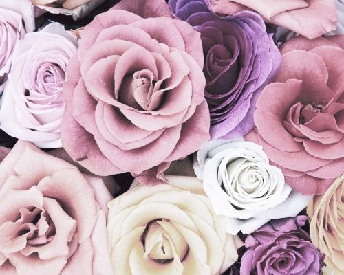 สีสันบนโลก