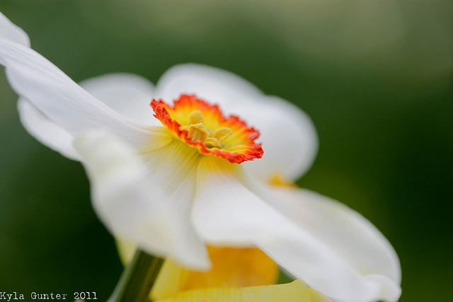สีสันบนโลก
