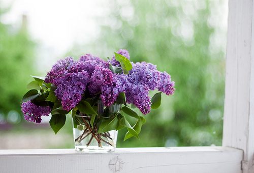 สีสันบนโลก