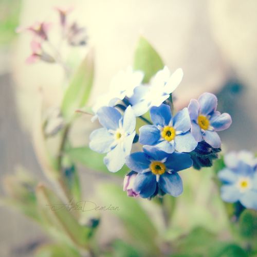 สีสันบนโลก