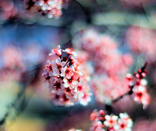 สีสันบนโลก
