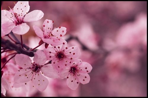 สีสันบนโลก