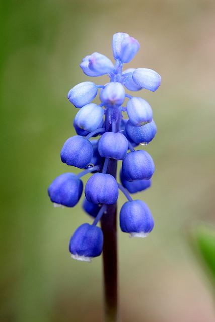 สีสันบนโลก