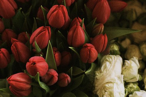สีสันบนโลก 1