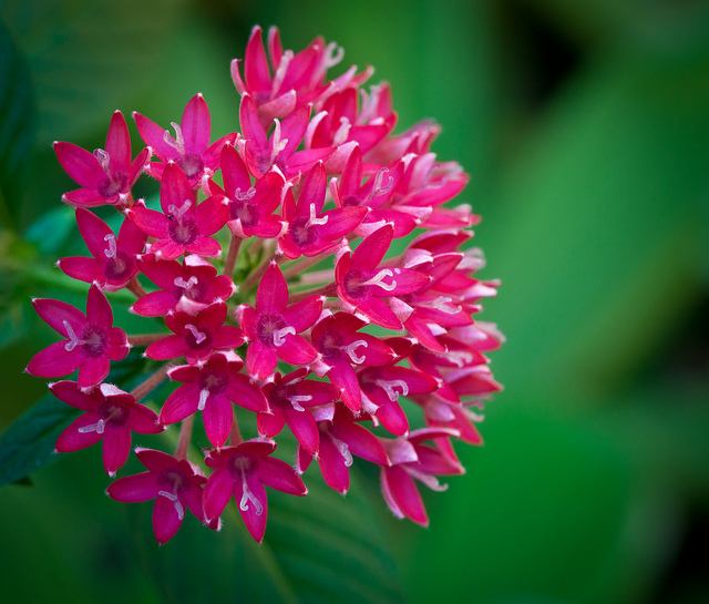 สีสันบนโลก 1