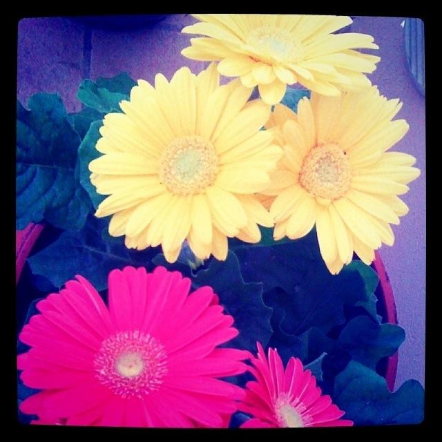 สีสันบนโลก 1