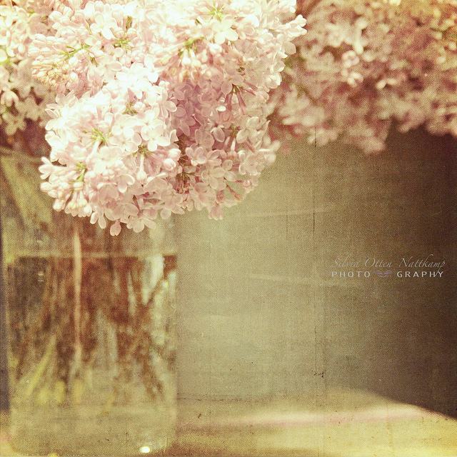 สีสันบนโลก 1