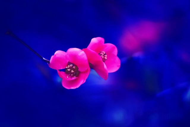 สีสันบนโลก 1