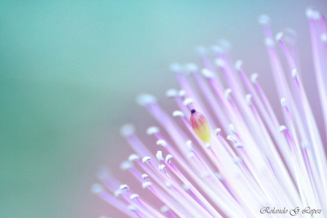 สีสันบนโลก 1