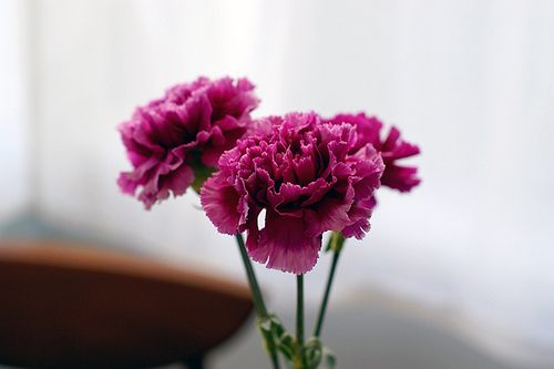 สีสันบนโลก 1