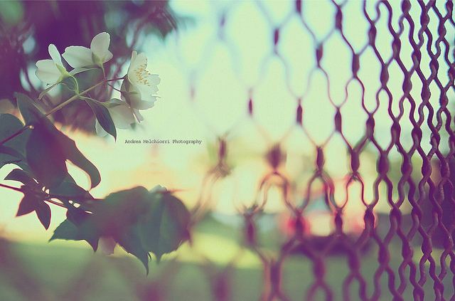สีสันบนโลก 1