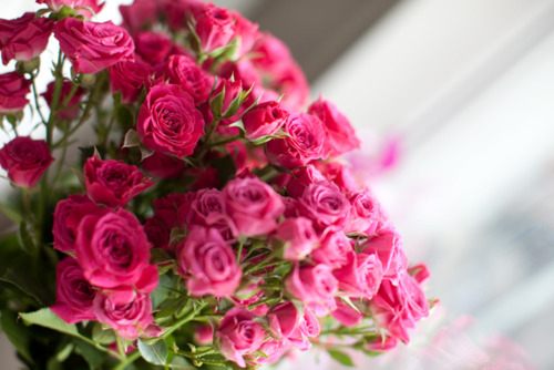 สีสันบนโลก 1