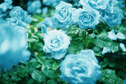 สีสันบนโลก 1