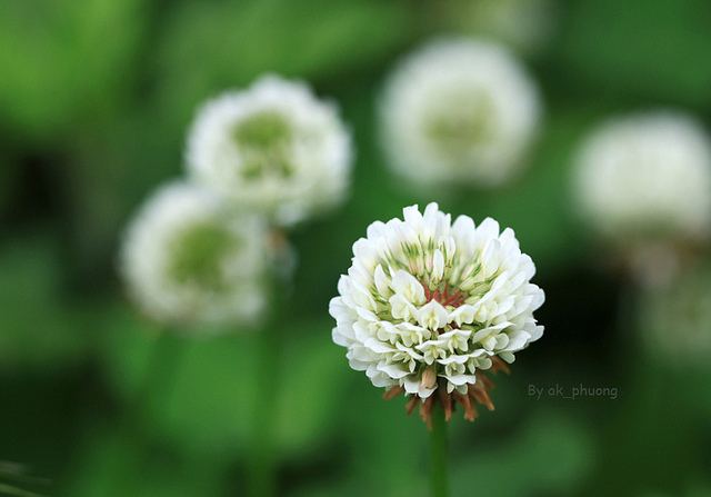 สีสันบนโลก 1