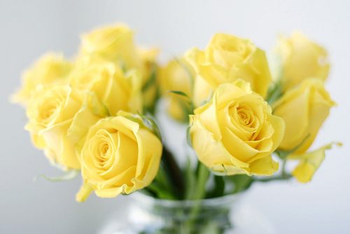 สีสันบนโลก 1