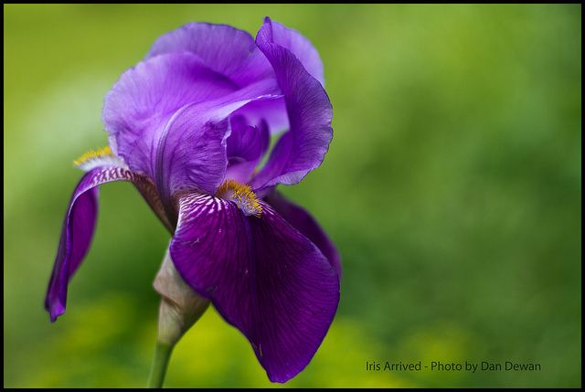 สีสันบนโลก 1