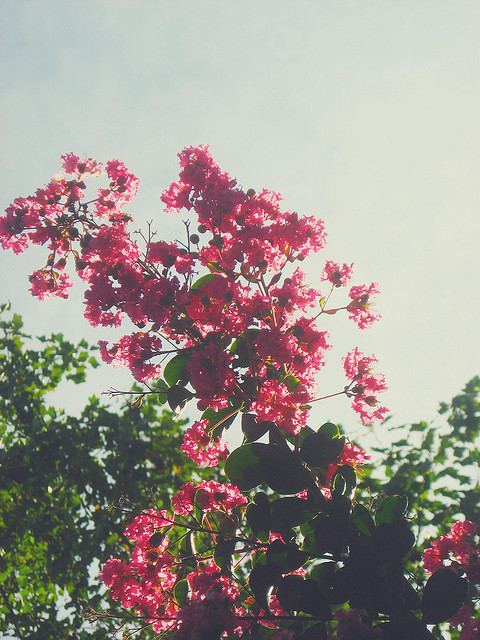สีสันบนโลก 1