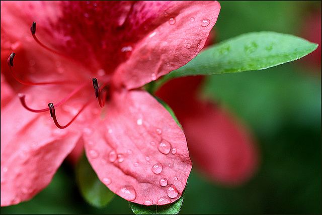 สีสันบนโลก 1
