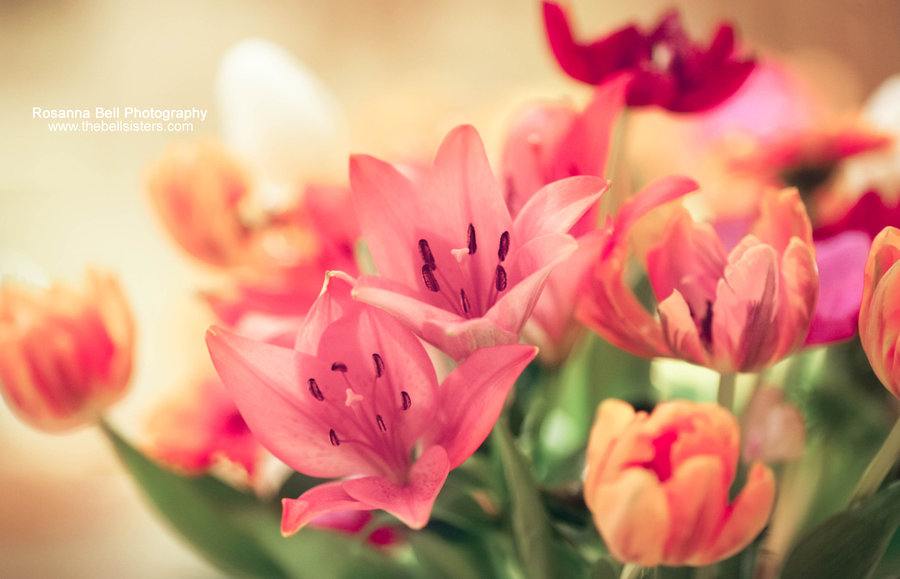 สีสันบนโลก 1