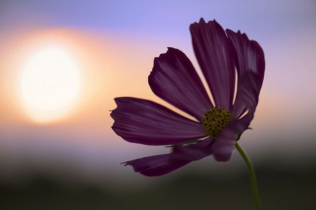 สีสันบนโลก 2
