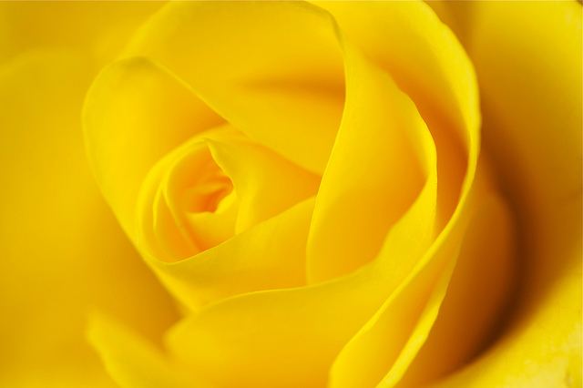 สีสันบนโลก 2