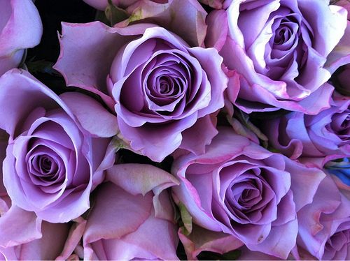 สีสันบนโลก 2