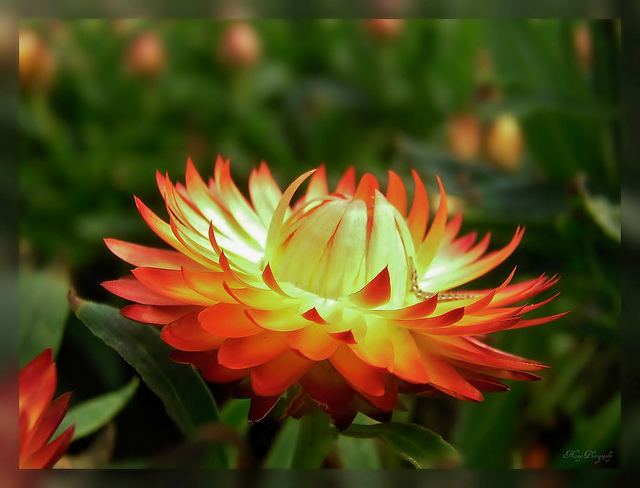 สีสันบนโลก 2