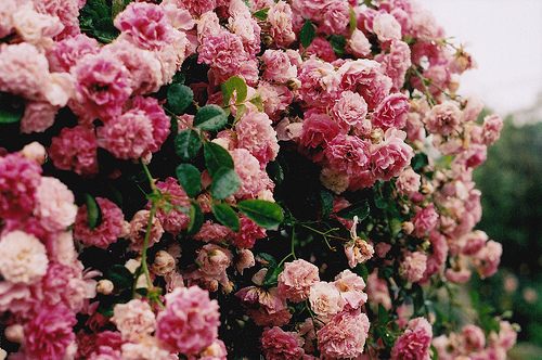 สีสันบนโลก 2