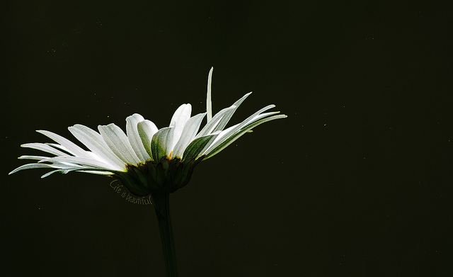 สีสันบนโลก 2