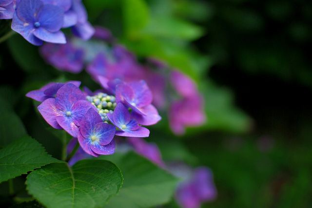 สีสันบนโลก 3
