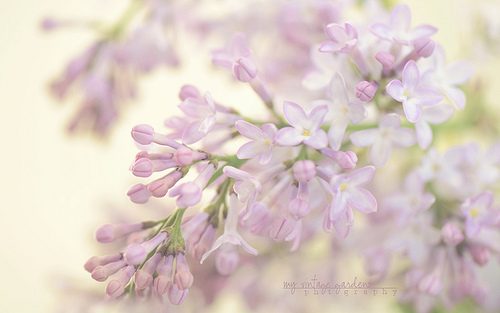 สีสันบนโลก 3