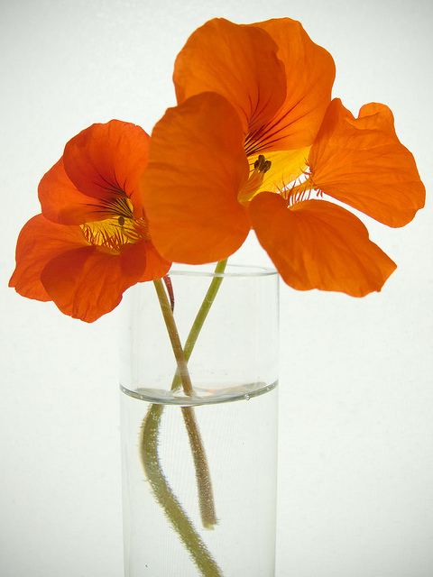 สีสันบนโลก 3