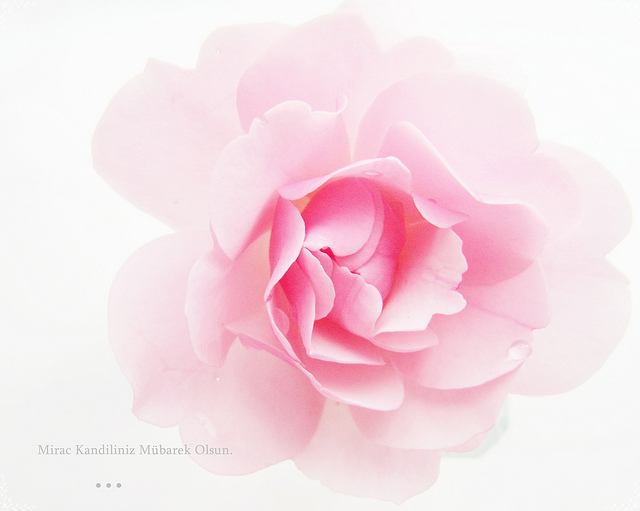 สีสันบนโลก 3