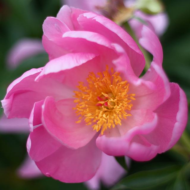 สีสันบนโลก 3