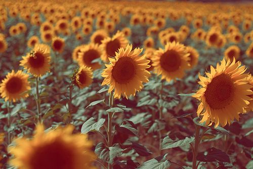 สีสันบนโลก 3
