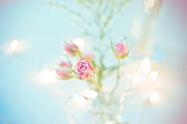 สีสันบนโลก 3