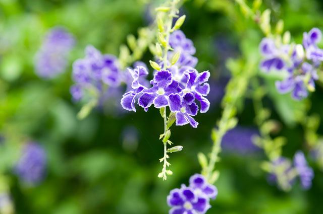 สีสันบนโลก 3