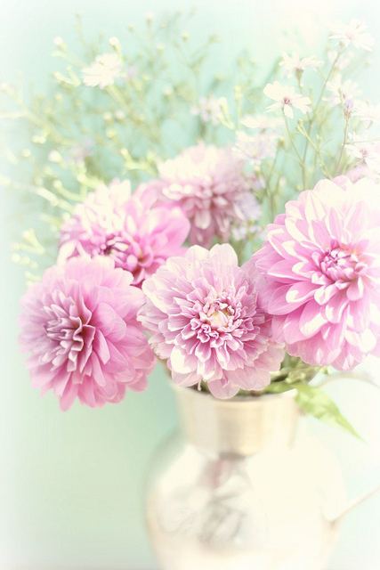 สีสันบนโลก 3