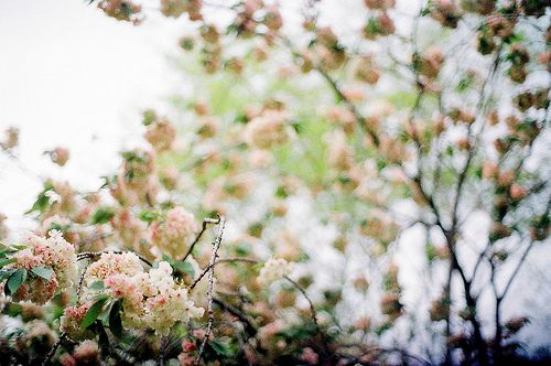 สีสันบนโลก 3