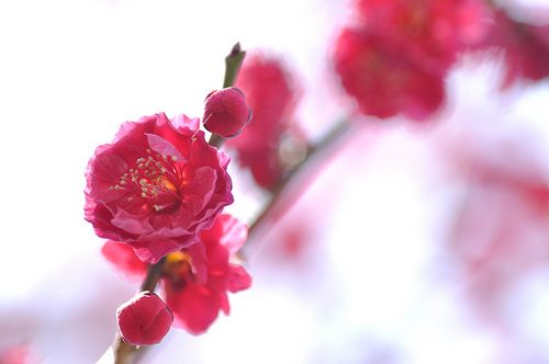 สีสันบนโลก 3