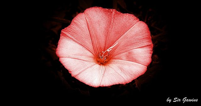 สีสันบนโลก 3