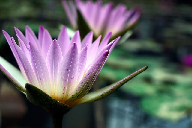 สีสันบนโลก 3